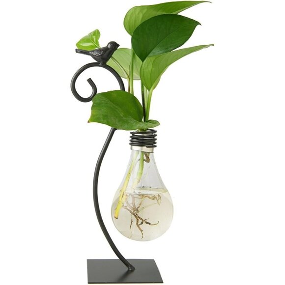 New Desktop Glass Planter Vase, Modern Bulb Holder for Home & Plant Decor - Picture 1 of 11